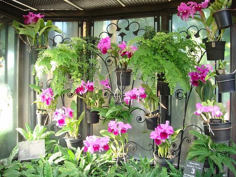 366 Longwood Gardens [2008 August 23].JPG - Longwood Gardens in Pennsylvania